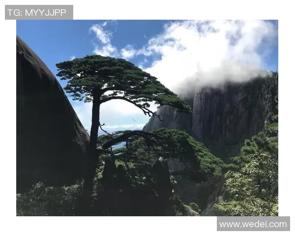 赛后分析:杭州乒乓球队与南京乒乓球队的战术意识与表现对比 赛后分析:杭州乒乓球队与南京乒乓球队的战术意识与表现对比