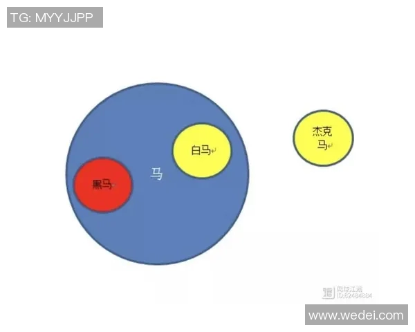 上海网球队在欧锦赛中的团队协作表现分析与启示