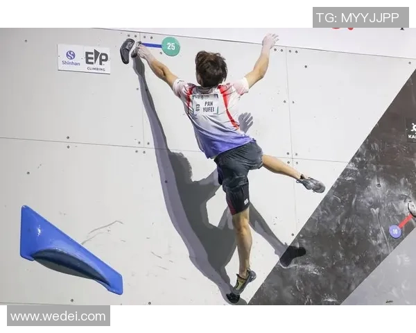 南京攀岩队再创佳绩在全国速度排名中取得历史新高 南京攀岩队再创佳绩在全国速度排名中取得历史新高