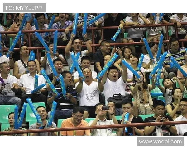 深入探讨北京羽毛球队成员个人能力表现的数据分析与评价