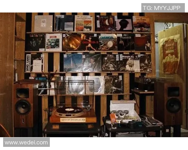 王岚的音乐之旅：从初出茅庐到乐坛新星的成长故事与心路历程