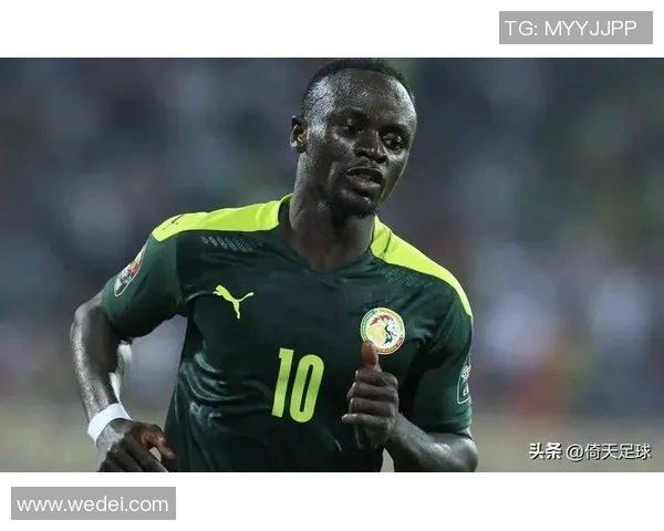 塞内加尔与尼日利对决精彩纷呈谁将赢得这场非洲足球盛宴