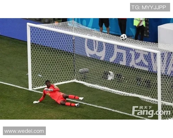 尼日利亚与冰岛精彩对决录像回放全程分析与精彩瞬间回顾