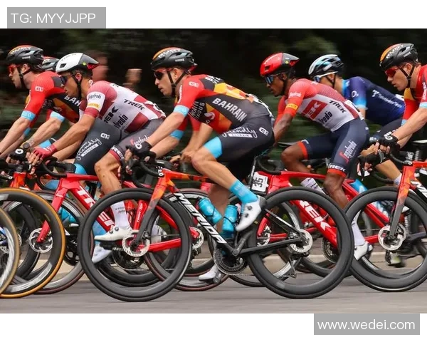 沈荣杰与杨正的巅峰对决谁将赢得最终胜利的悬念揭晓