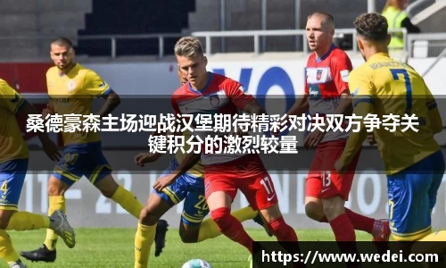 桑德豪森主场迎战汉堡期待精彩对决双方争夺关键积分的激烈较量